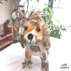 きなワンAKEMI.ORIGINAL