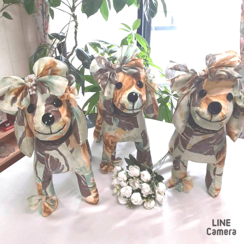 きなワンAKEMI.ORIGINAL