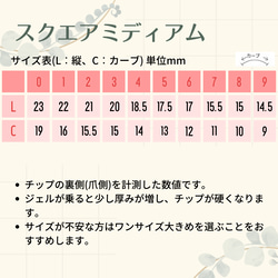 モード系アート ❀.*･ﾟ ネイルチップ  【入学式、結婚式、母の日、贈り物、普段使いなどに】No.014 13枚目の画像