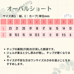 モード系アート ❀.*･ﾟ ネイルチップ  【入学式、結婚式、母の日、贈り物、普段使いなどに】No.014 10枚目の画像