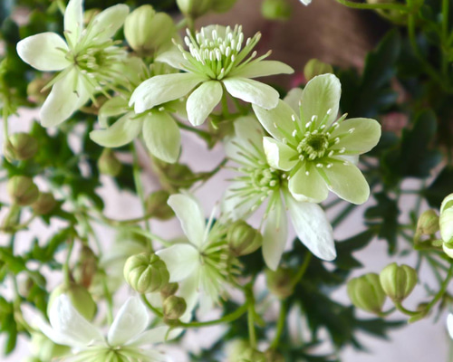 d63aa65f467e63dd08bab937e28bcf