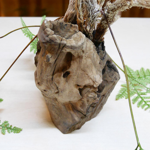 ハンギング ウォールインテリア 観葉植物 忍(しのぶ) 石化しのぶ 流木