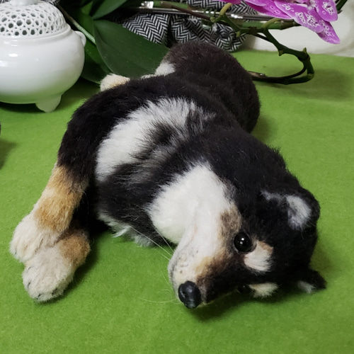 オ羊毛フェルト柴犬 ーダー犬 オーダー黒柴犬 柴犬 想い出を形に 