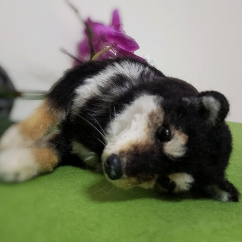 オ羊毛フェルト柴犬 ーダー犬 オーダー黒柴犬 柴犬 想い出を形に