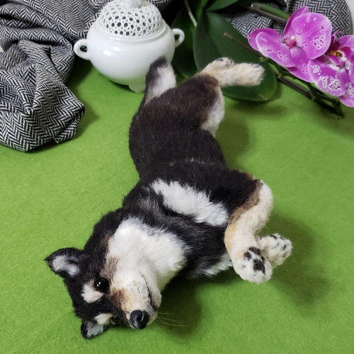 オ羊毛フェルト柴犬 ーダー犬 オーダー黒柴犬 柴犬 想い出を形に 