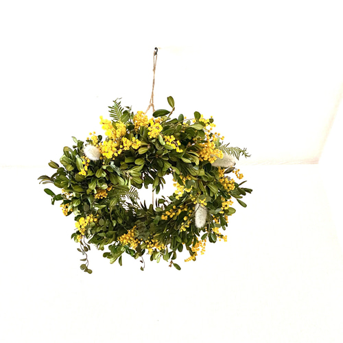 ドライミモザのフライングリース リース irodori0012 通販 13687637