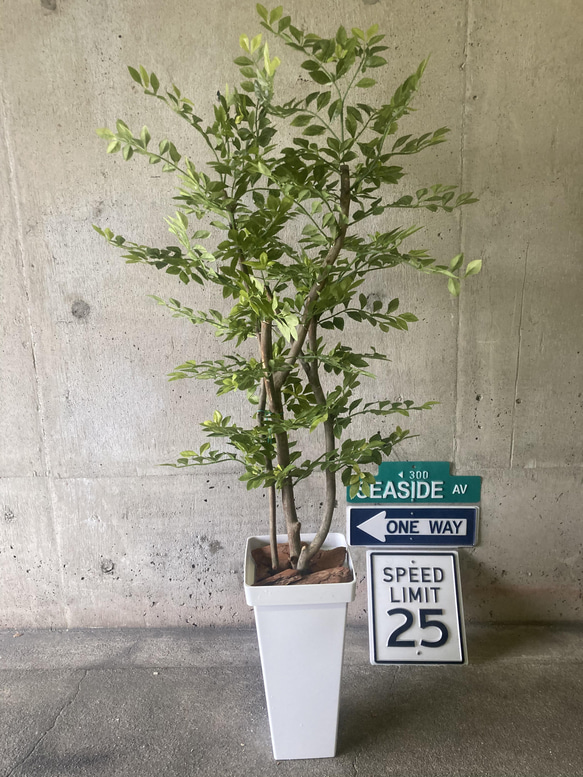 光触媒 人工観葉植物 ウォールグリーン フェイク フラワー ゴールデン