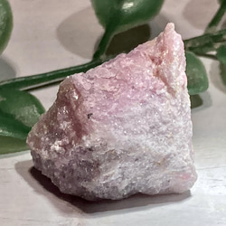 8561781aa90437511b174c097dd679