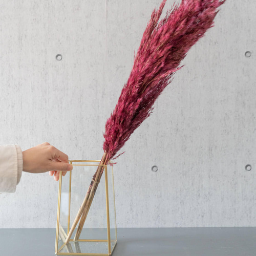 ドライフラワー❇️ゴールドとパンパス❣️ 1557fe8761bfab61e17a7200f5f6fe