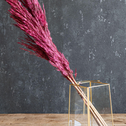 パンパス ボルドーカラー ゴールドスクエア】ウルカムアイテム