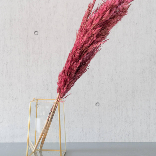 パンパス ボルドーカラー ゴールドスクエア】ウルカムアイテム