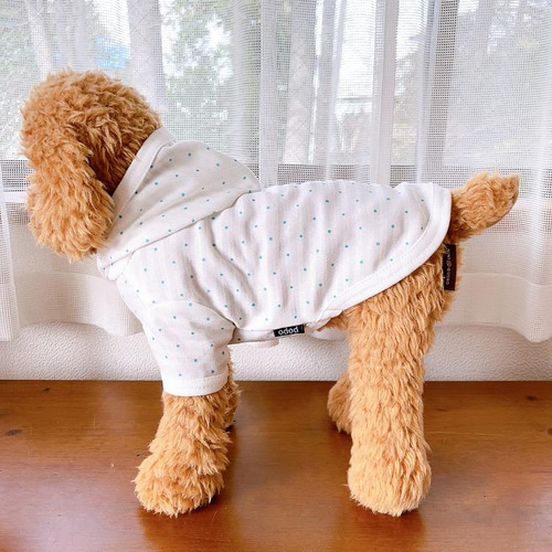 犬服 ピンドットパーカー ブルー ペット服・アクセサリー atelier popo