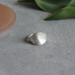 花瓣戒指 第3張的照片