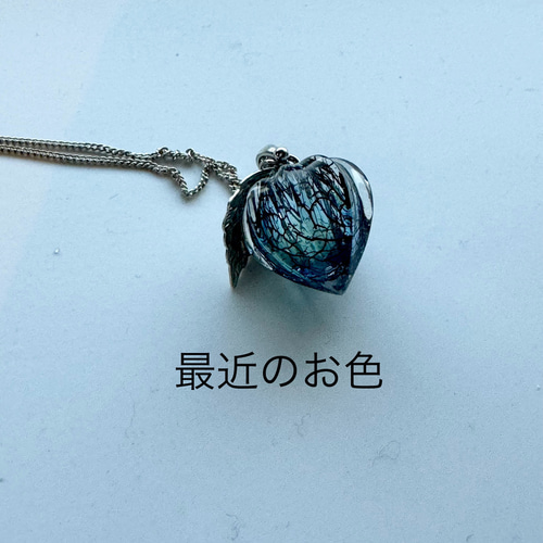 鬼灯レジンの耳飾り、鬼灯レジンのネックレス 鬼灯レジンの3点セット（耳飾り、ネックレス） - メルカリ