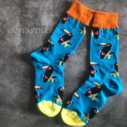 オオハシ柄メンズ靴下❤️スケーターソックス ポップアート グラフィック ギフトプレゼントお祝い 南国鳥トロピカルバード 1枚目の画像