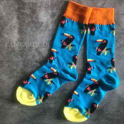 オオハシ柄メンズ靴下❤️スケーターソックス ポップアート グラフィック ギフトプレゼントお祝い 南国鳥トロピカルバード 2枚目の画像