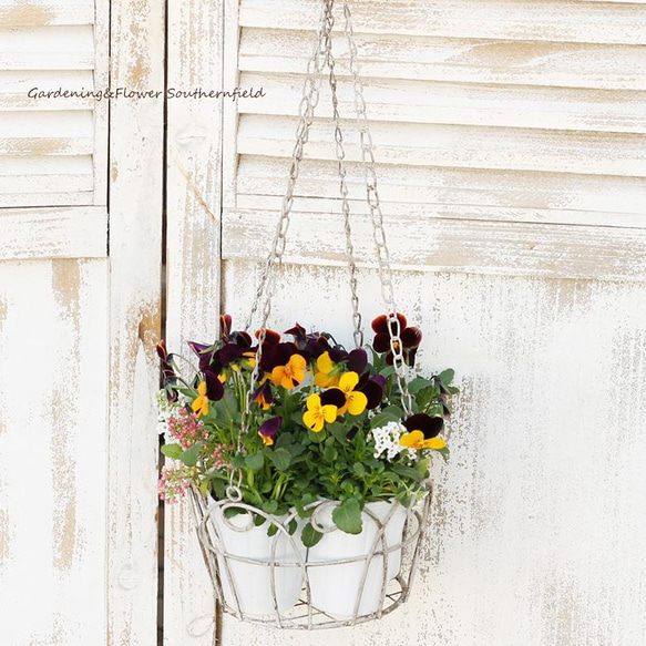 アンティークブロカントアイアン ハンギングプラント