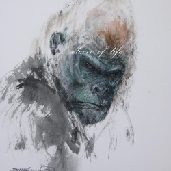 af55669d4a8863b66937e4ed64f7af