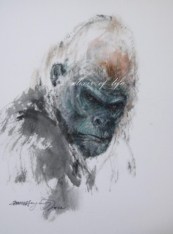 見つめるゴリラ2022。原画（墨、水彩、厚い和紙、26cm
