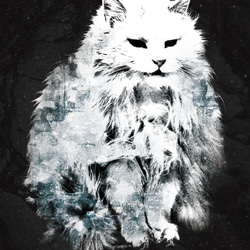 ねこTシャツ「Cave Cats」 2枚目の画像