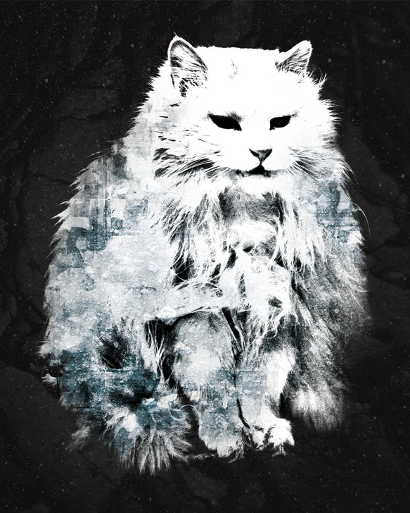 ねこTシャツ「Cave Cats」 2枚目の画像