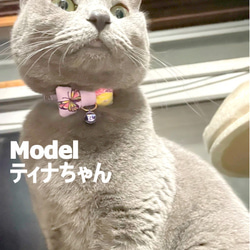 春告げる*華やか蝶々スクエアりぼん＊猫ちゃん首輪 6枚目の画像