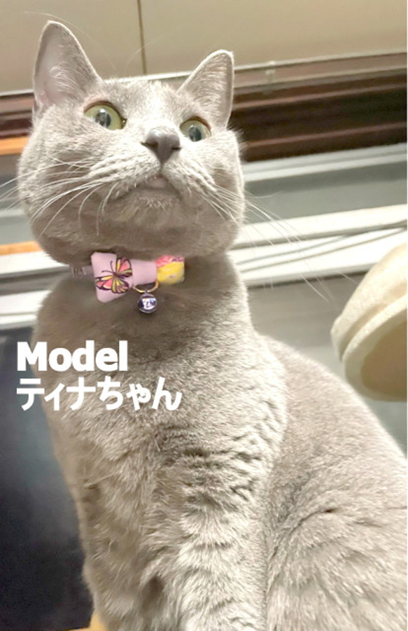 春告げる*華やか蝶々スクエアりぼん＊猫ちゃん首輪 6枚目の画像