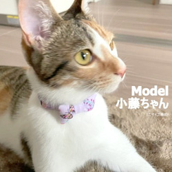 春告げる*華やか蝶々スクエアりぼん＊猫ちゃん首輪 7枚目の画像