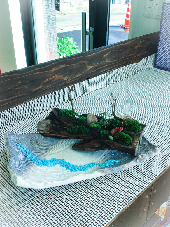 苔盆景(苔島アヒル) 5枚目の画像