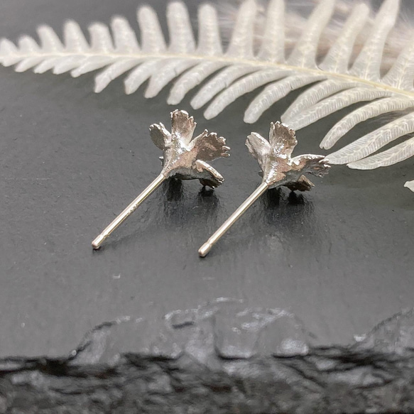 繊細なでしこのピアス/イヤリング（ノンホールピアス）◇純銀・シルバー925◇撫子　花　小さい　シンプル 5枚目の画像