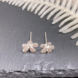 繊細なでしこのピアス/イヤリング（ノンホールピアス）◇純銀・シルバー925◇撫子　花　小さい　シンプル 4枚目の画像