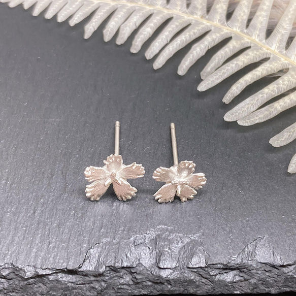 繊細なでしこのピアス/イヤリング（ノンホールピアス）◇純銀・シルバー925◇撫子　花　小さい　シンプル 4枚目の画像