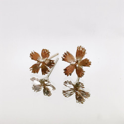 繊細なでしこのピアス/イヤリング（ノンホールピアス）◇純銀・シルバー925◇撫子　花　小さい　シンプル 8枚目の画像