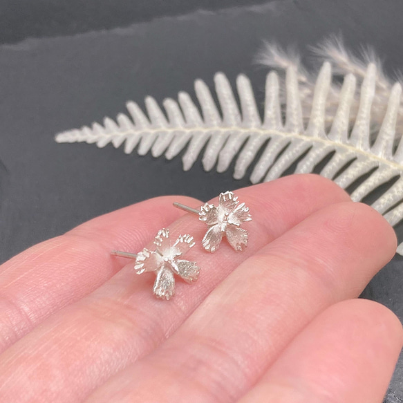 繊細なでしこのピアス/イヤリング（ノンホールピアス）◇純銀・シルバー925◇撫子　花　小さい　シンプル 9枚目の画像