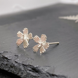 繊細なでしこのピアス/イヤリング（ノンホールピアス）◇純銀・シルバー925◇撫子　花　小さい　シンプル 2枚目の画像