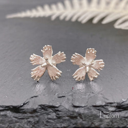 繊細なでしこのピアス/イヤリング（ノンホールピアス）◇純銀・シルバー925◇撫子　花　小さい　シンプル 1枚目の画像