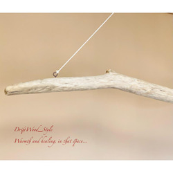 流木インテリア 無骨で太い重厚感ある流木の大型ハンガーラック 北欧 衣装掛け ハンギング 吊り下げ ハンガーポール 癒し 7枚目の画像