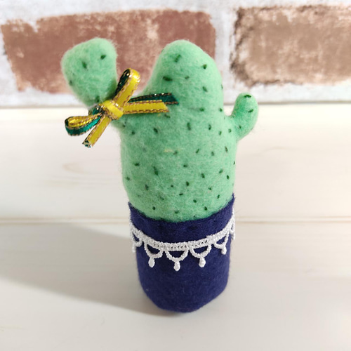 サボテン　3つセット Amazon｜聖新陶芸 サボバケツ 栽培キット ウチワサボテン サイズ