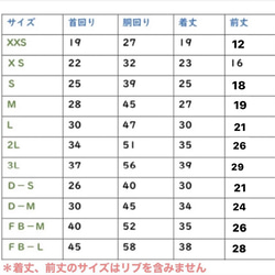  第8張的照片