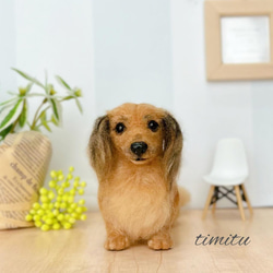 ◇こちらはサンプル画像になります◇羊毛フェルト♡ うちの子 