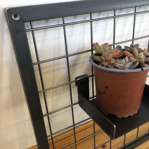 アイアンメッシュ枠 植物飾り コレクション飾り インダストリアルな