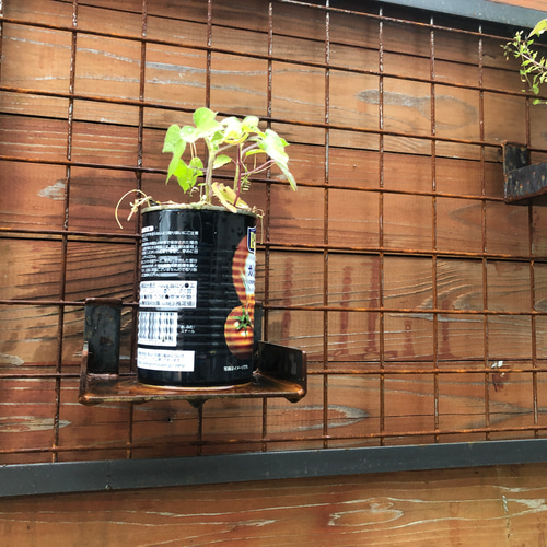 アイアンメッシュ枠 植物飾り コレクション飾り インダストリアルな