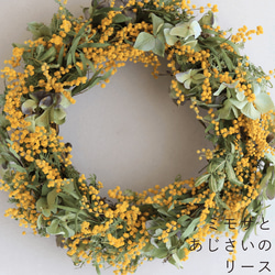 ご注文翌日発送】ミモザのリース ドライフラワー（直径26cm） リース