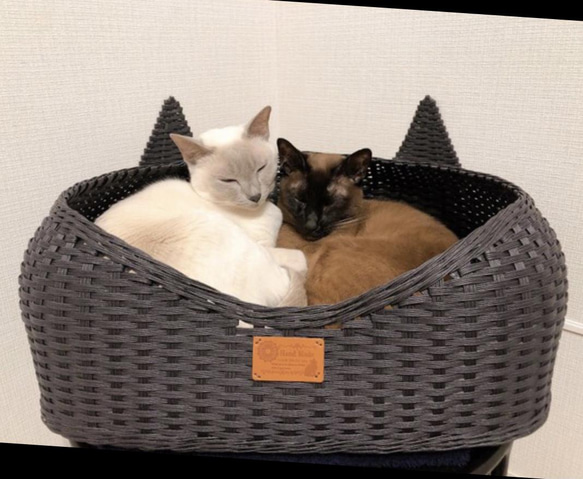 取り合いする程人気❣️Lサイズ❣️6.5キロ超えたらこちら 耳付き猫 