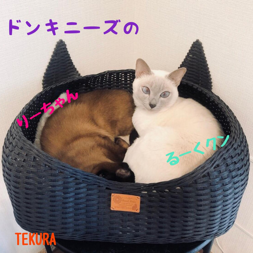 取り合いする程人気❣️Lサイズ❣️6.5キロ超えたらこちら 耳付き猫 