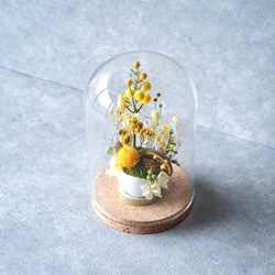 卵に眠る花の箱庭『陽光/ミモザ』 6枚目の画像