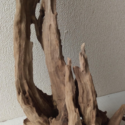 流木（約８２ｃｍ）　流木素材  インテリア・加工用　 6枚目の画像