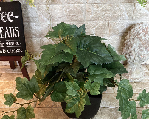 光触媒　人工観葉植物　ウォールグ リーン　フェイクグリーン　シーグレープ100 光触媒 人工観葉植物 ウォールグリーン フェイクグリーン シーグレープ