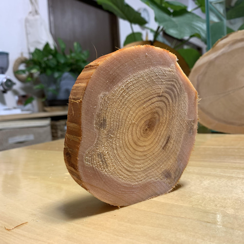 送料込み】青森ヒバ輪切り 厚さ2㎝ Sサイズ 自然素材 ウェディング