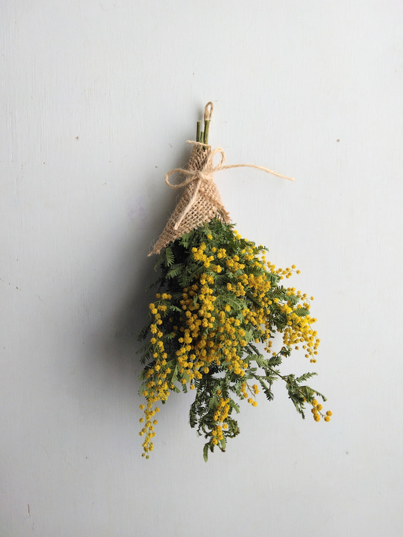 ミモザのドライフラワー（スワッグ） スワッグ nyao-mery 通販